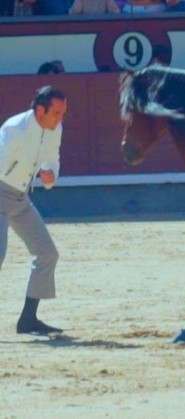 Bonito caballo PRE Bailando